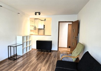 mieszkanie na wynajem - Chorzów, Amelung, Beskidzka